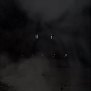 老女人和我一晚做了我七次
